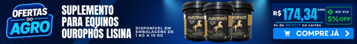 Leaderboard - Classificad