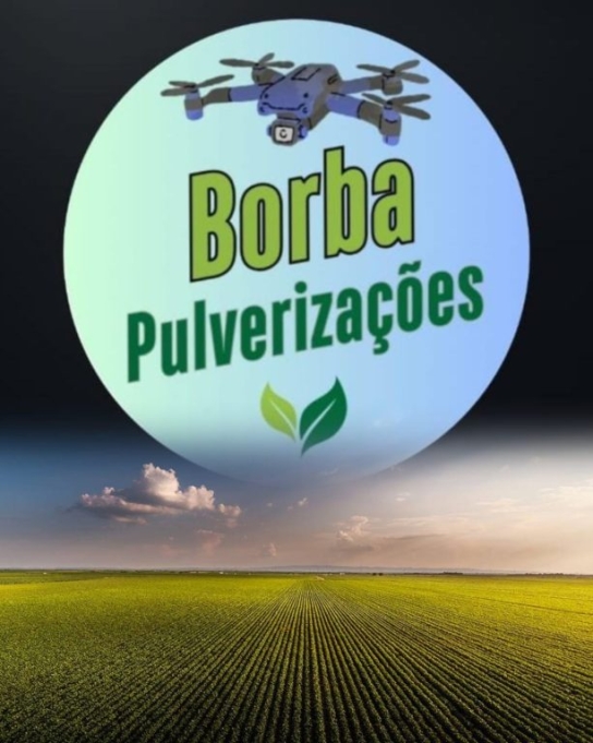 BORBA PULVERIZAÇÕES