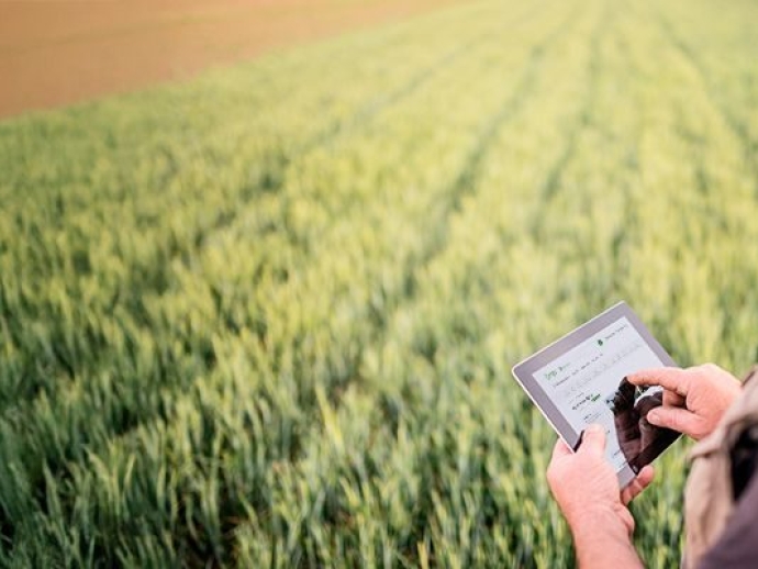 Tecnologias digitais na agricultura: quais são e como usar