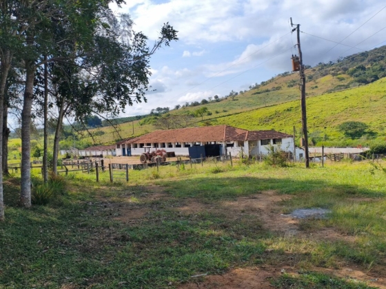 FAZENDA 318 HECTARES MG