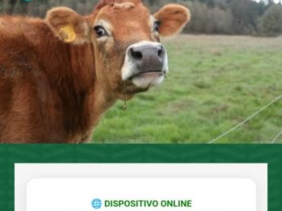 APP Pecuária Online - Gestão do Rebanho e das Pastagens