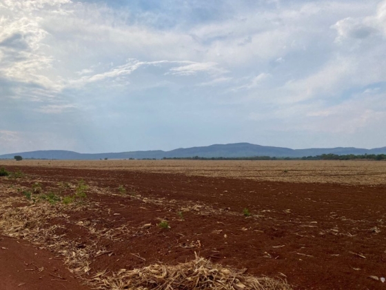 FAZENDA À VENDA NO TOCANTINS 3.392 HEC