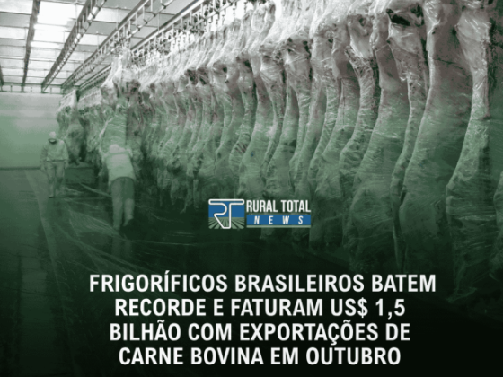 FRIGORÍFICOS BRASILEIROS BATEM RECORDE E FATURAM US$ 1,5 BILHÃO COM EXPORTAÇÕES DE CARNE BOVINA EM O