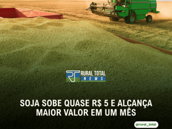 SOJA SOBE QUASE R$ 5 E ALCANÇA MAIOR VALOR EM UM MÊS