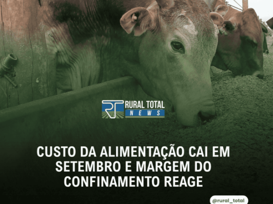 CUSTO DA ALIMENTAÇÃO CAI EM SETEMBRO E MARGEM DO CONFINAMENTO REAGE
