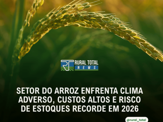 SETOR DO ARROZ ENFRENTA CLIMA ADVERSO, CUSTOS ALTOS E RISCO DE ESTOQUES RECORDE EM 2026