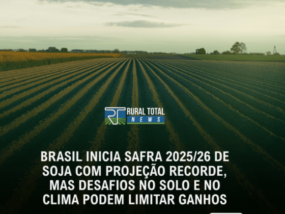 BRASIL INICIA SAFRA 2025/26 DE SOJA COM PROJEÇÃO RECORDE, MAS SOLO E CUSTOS ELEVAM OS DESAFIOS