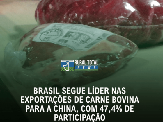 BRASIL SEGUE LÍDER NAS EXPORTAÇÕES DE CARNE BOVINA PARA A CHINA, COM 47,4% DE PARTICIPAÇÃO