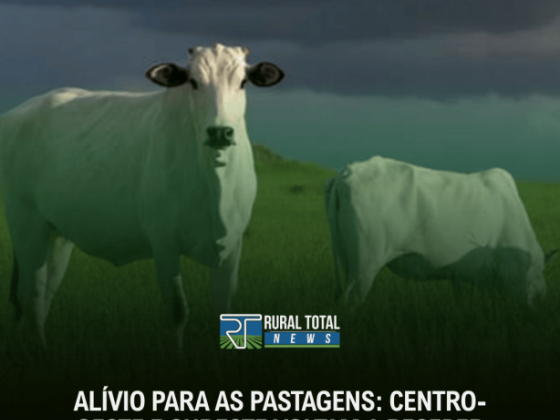 ALÍVIO PARA AS PASTAGENS: CENTRO-OESTE E SUDESTE VOLTAM A RECEBER CHUVAS