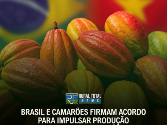 BRASIL E CAMARÕES FIRMAM ACORDO PARA IMPULSAR PRODUÇÃO CACAUEIRA SUSTENTÁVEL