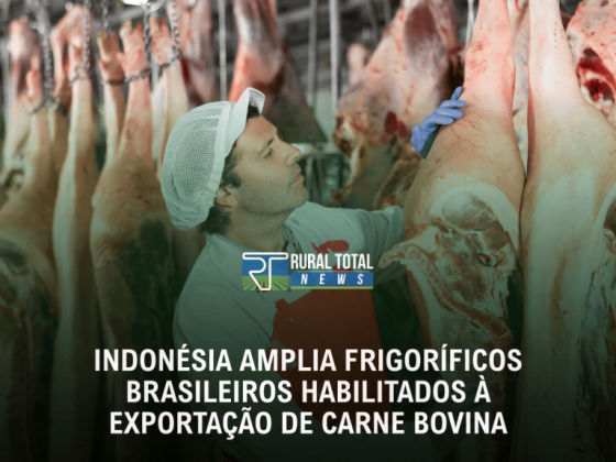 Indonésia amplia frigoríficos brasileiros habilitados à exportação de carne bovina