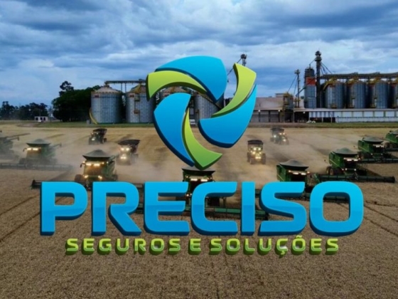 PRECISO SEGUROS E SOLUÇÕES