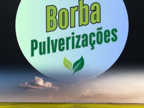 BORBA PULVERIZAÇÕES