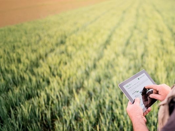 Tecnologias digitais na agricultura: quais são e como usar
