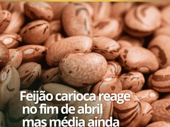 FEIJÃO CARIOCA REAGE NO FIM DE ABRIL MAS MÉDIA AINDA RECUA