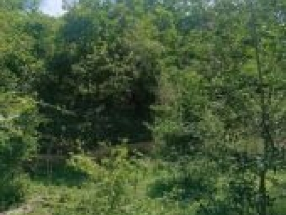 Fazenda com 2.000 Hectares à Venda em Gilbués/PI