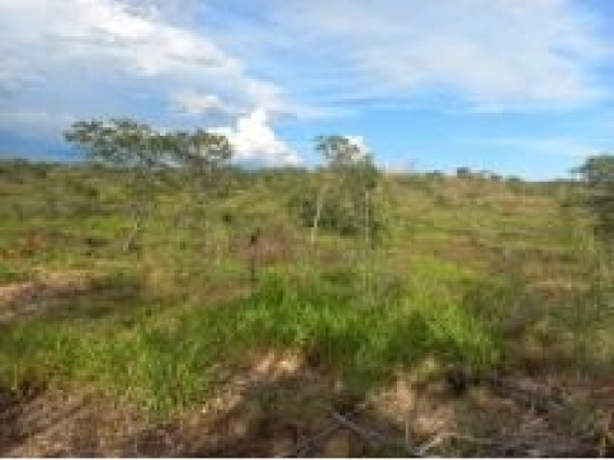 Fazenda Patos com 192 Hectares à Venda em Sebastião Barros/PI