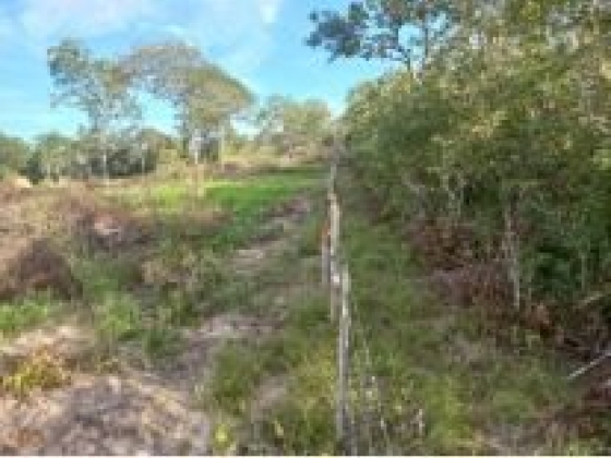 Fazenda Patos com 192 Hectares à Venda em Sebastião Barros/PI