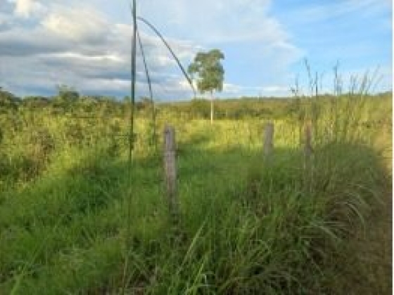 Fazenda Patos com 192 Hectares à Venda em Sebastião Barros/PI