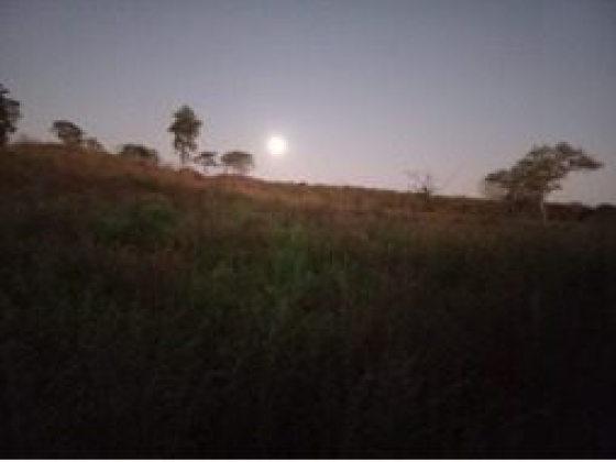 Fazenda Patos com 192 Hectares à Venda em Sebastião Barros/PI