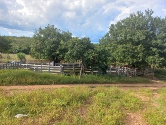 Fazenda Patos com 192 Hectares à Venda em Sebastião Barros/PI