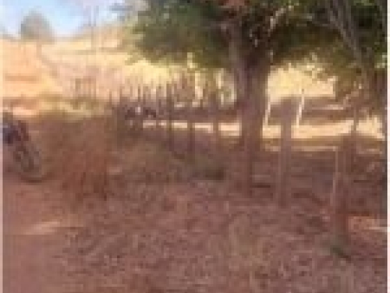 Fazenda Taquari com 392 Hectares à Venda em Sebastião Barros/PI