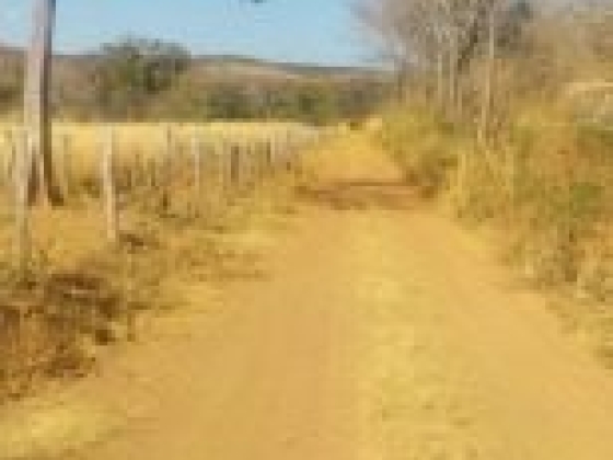 Fazenda Taquari com 392 Hectares à Venda em Sebastião Barros/PI
