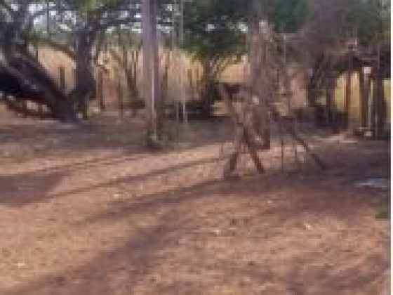 Fazenda Taquari com 392 Hectares à Venda em Sebastião Barros/PI