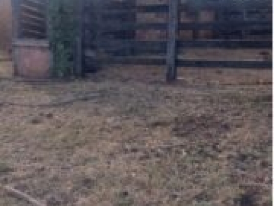Fazenda Taquari com 392 Hectares à Venda em Sebastião Barros/PI