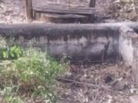 Fazenda Taquari com 392 Hectares à Venda em Sebastião Barros/PI