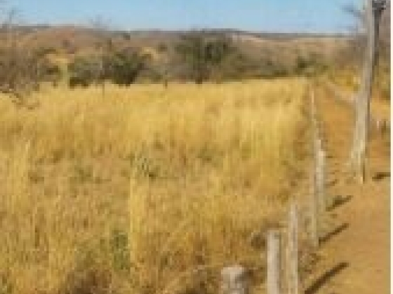 Fazenda Taquari com 392 Hectares à Venda em Sebastião Barros/PI