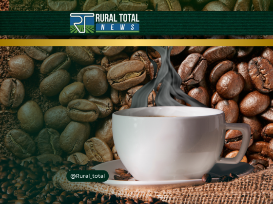 CAFÉ DISPARA NAS BOLSAS COM CLIMA NO BRASIL E TENSÃO GLOBAL NO RADAR