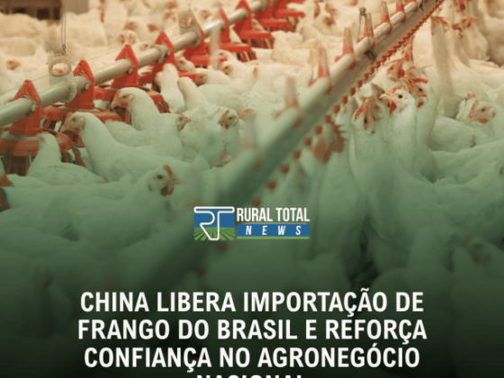 CHINA LIBERA IMPORTAÇÃO DE FRANGO DO BRASIL E REFORÇA CONFIANÇA NO AGRONEGÓCIO NACIONAL