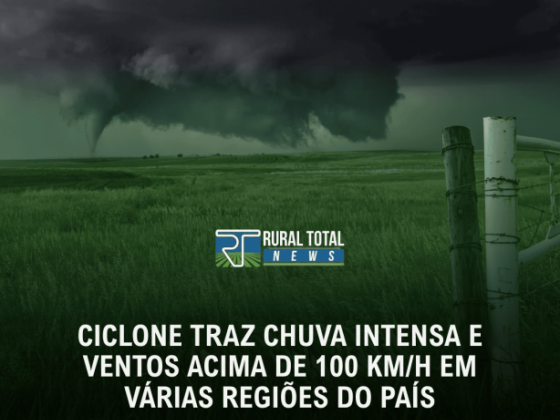 CICLONE TRAZ CHUVA INTENSA E VENTOS ACIMA DE 100 KM/H EM VÁRIAS REGIÕES DO PAÍS